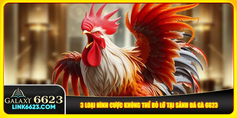 3 loại hình cược không thể bỏ lỡ tại sảnh đá gà 6623
