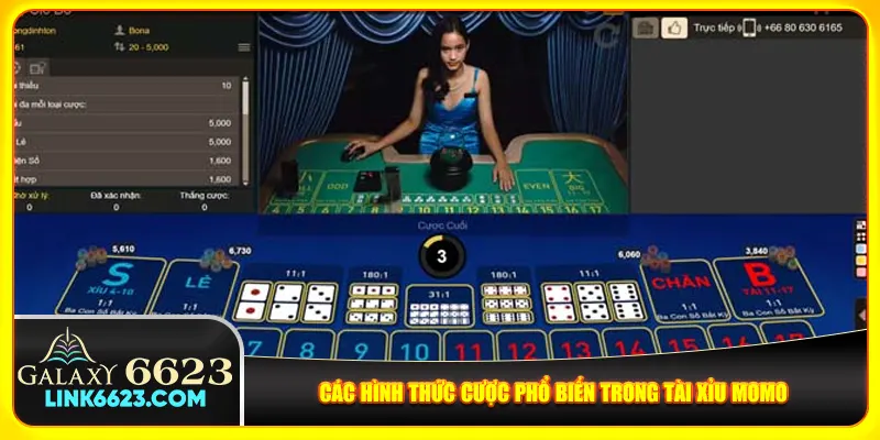 Các hình thức cược phổ biến trong tài xỉu momo