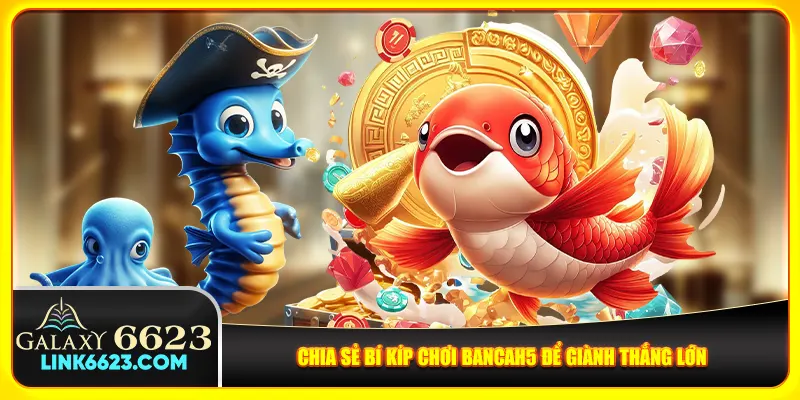 Chia sẻ bí kíp chơi Bancah5 để giành thắng lớn