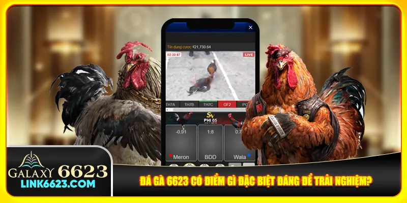 Đá gà 6623 có điểm gì đặc biệt đáng để trải nghiệm?