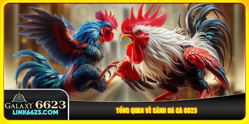 Tổng quan về sảnh đá gà 6623